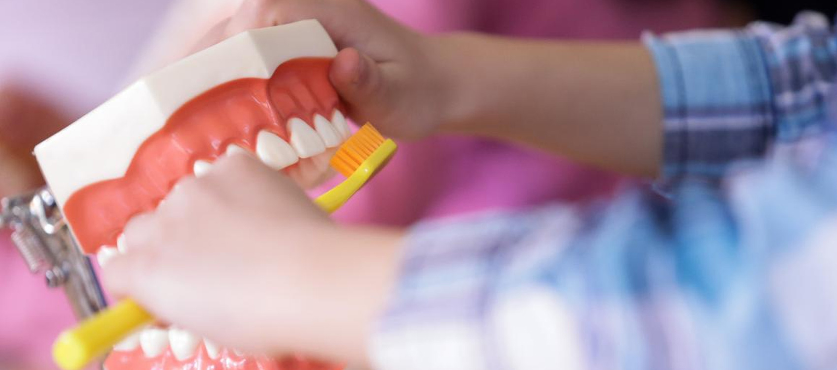 Dr Stajčić - Dječija i preventivna stomatologija.